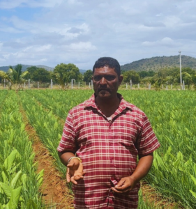 from skepticism to stewardship case study