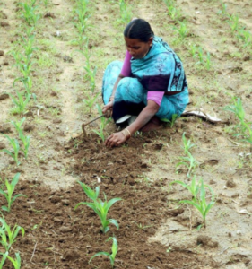 kavati lakshmi case study